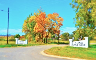 Aliwal North Gholf Course Entrance