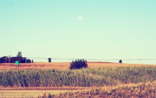 Aliwal North Gholf Course